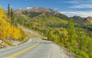 Alaska,Interior - Denali National Park 07.JPG