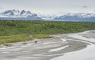 Alaska,Interior - Parks Highway 01.JPG