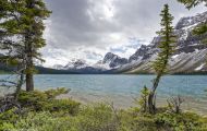 Alberta, Canadian Rockies - Icefields Parkway  Hwy 93, Bow Lake 04.JPG