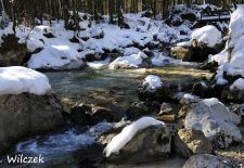 Impressionen vom Hintersee und Zauberwald - Im geheimnisvollen Zauberwald.JPG