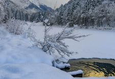 Weißblaue Impressionen vom RIESSERSEE - Einladung zum stimmungsvollen Winterspaziergang