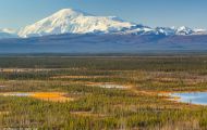 Alaska,Interior - Tok Cutoff Highway 05.JPG