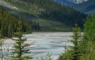 Alberta, Canadian Rockies - Icefields Parkway  Hwy 93, Along the way 07.JPG