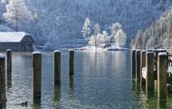 Bayern, Oberbayern - Schönau am Königssee Königssee, Seelände 05.JPG