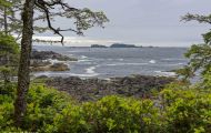 British Columbia, Vancouver Island - Ucluelet  Wild Pacific Trail 03.JPG