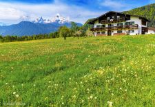 Urlaub im Berchtesgadener Land - Frühlingswiese mit Watzmann, Stanggaß