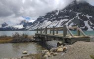 Alberta, Canadian Rockies - Icefields Parkway  Hwy 93, Bow Lake 05.JPG