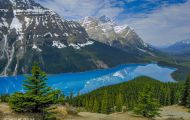 Alberta, Canadian Rockies - Icefields Parkway  Hwy 93, Peyto Lake 04.JPG
