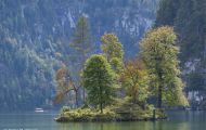 Bayern, Oberbayern - Schönau am Königssee Königssee, Seelände 10.JPG