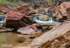 Impressionen vom Nationalpark Zion - Wanderung entlang des Virgin River.JPG