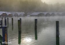 Weissblaue Impressionen vom Koenigssee - Morgennebel an der Seelaende.JPG
