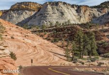 Impressionen vom Nationalpark Zion - Auf dem Zion-Mount Carmel Highway.JPG