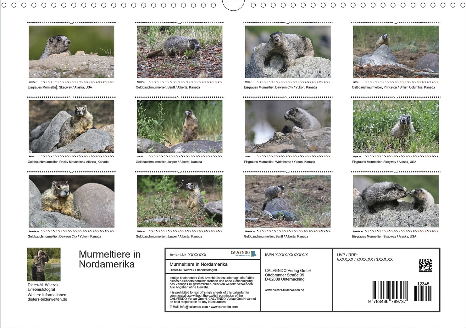 Murmeltiere in Nordamerika - Rückseite Kalender