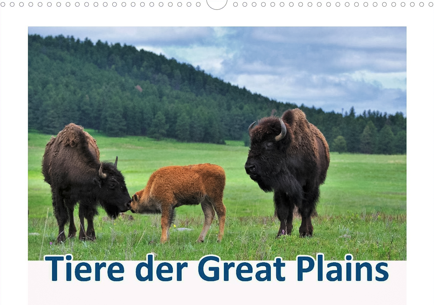 Tiere der Great Plains - Titelseite Kalender