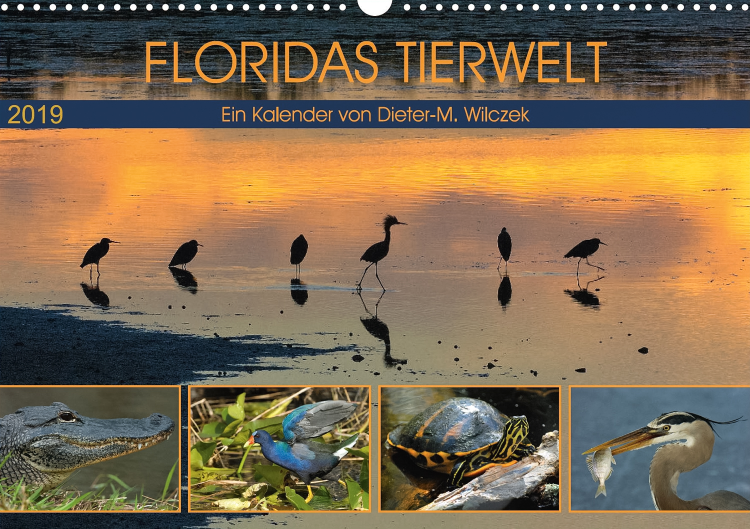 Flora und Fauna der Sonora Wüste - Titelseite Kalender
