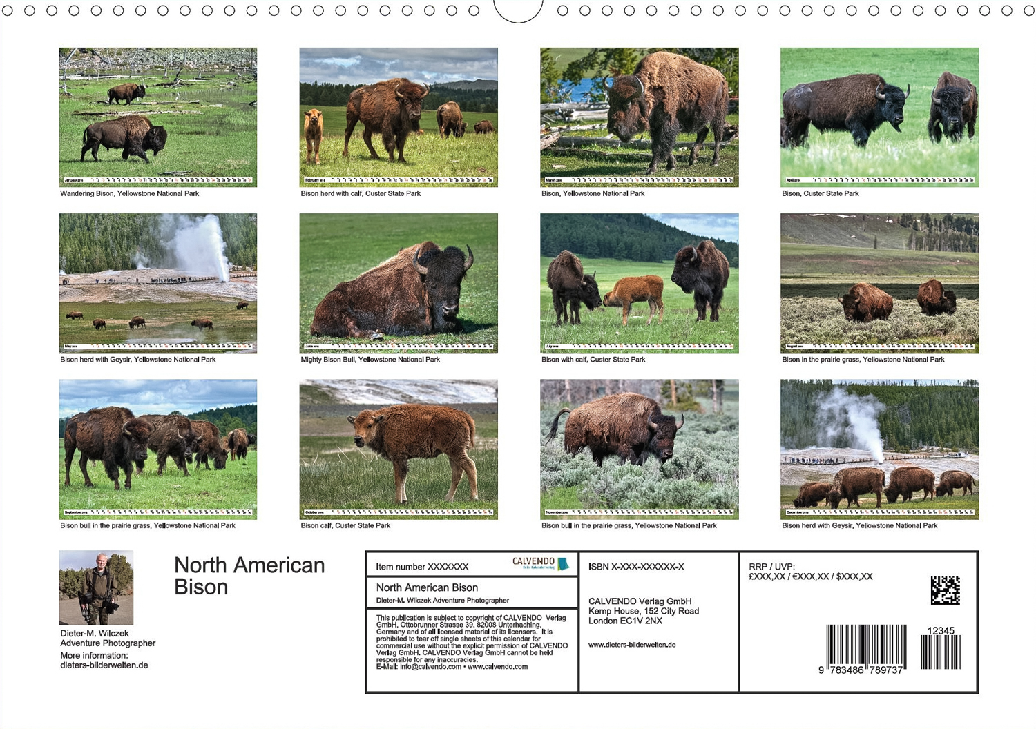 Flora und Fauna der Sonora Wüste - Rückseite Kalender