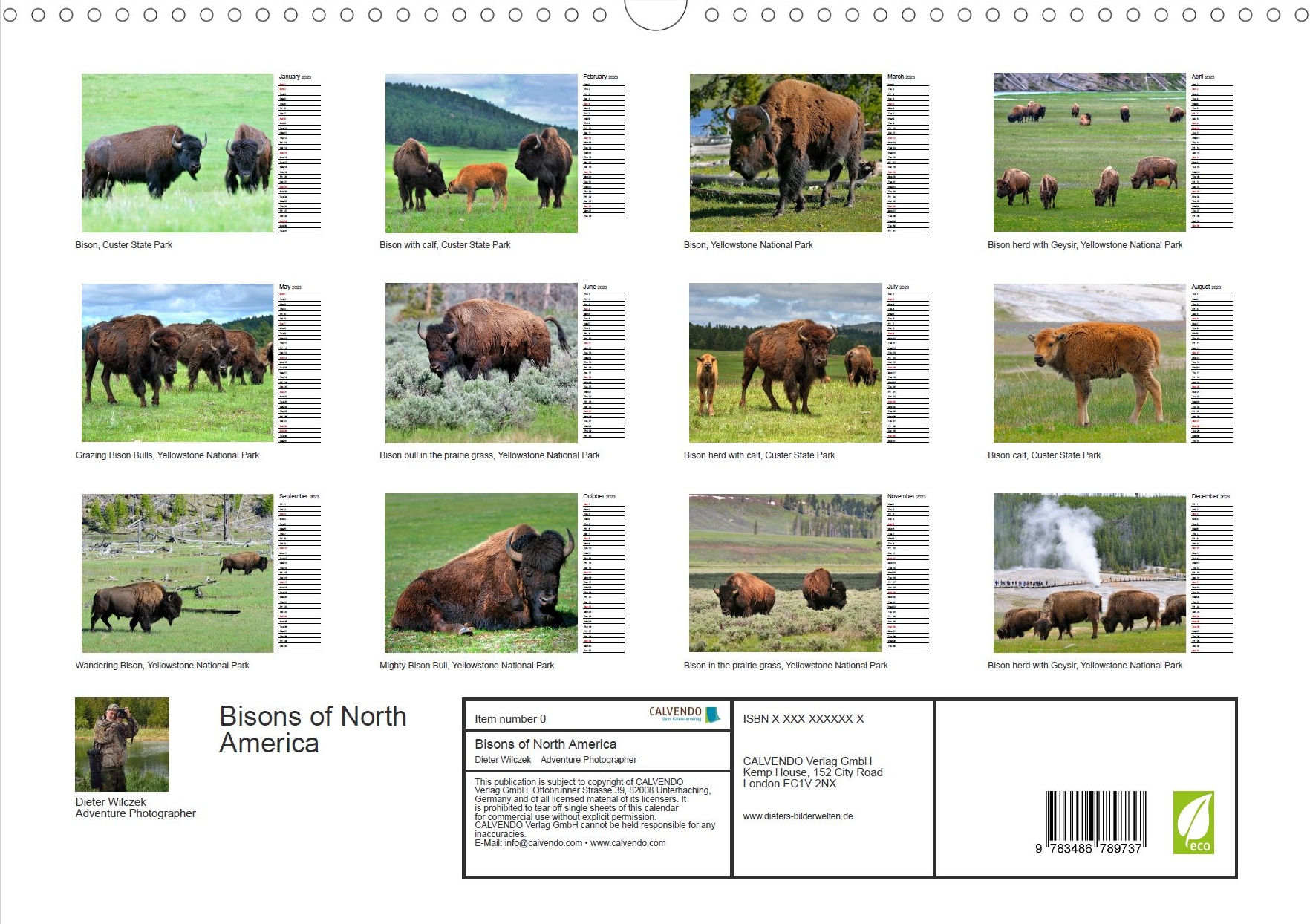 Flora und Fauna der Sonora Wüste - Rückseite Kalender