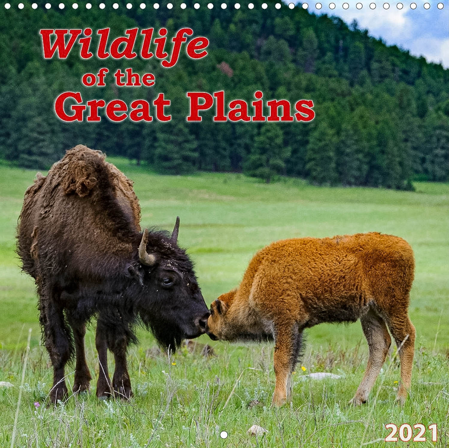 Tiere der Great Plains - Titelseite Kalender