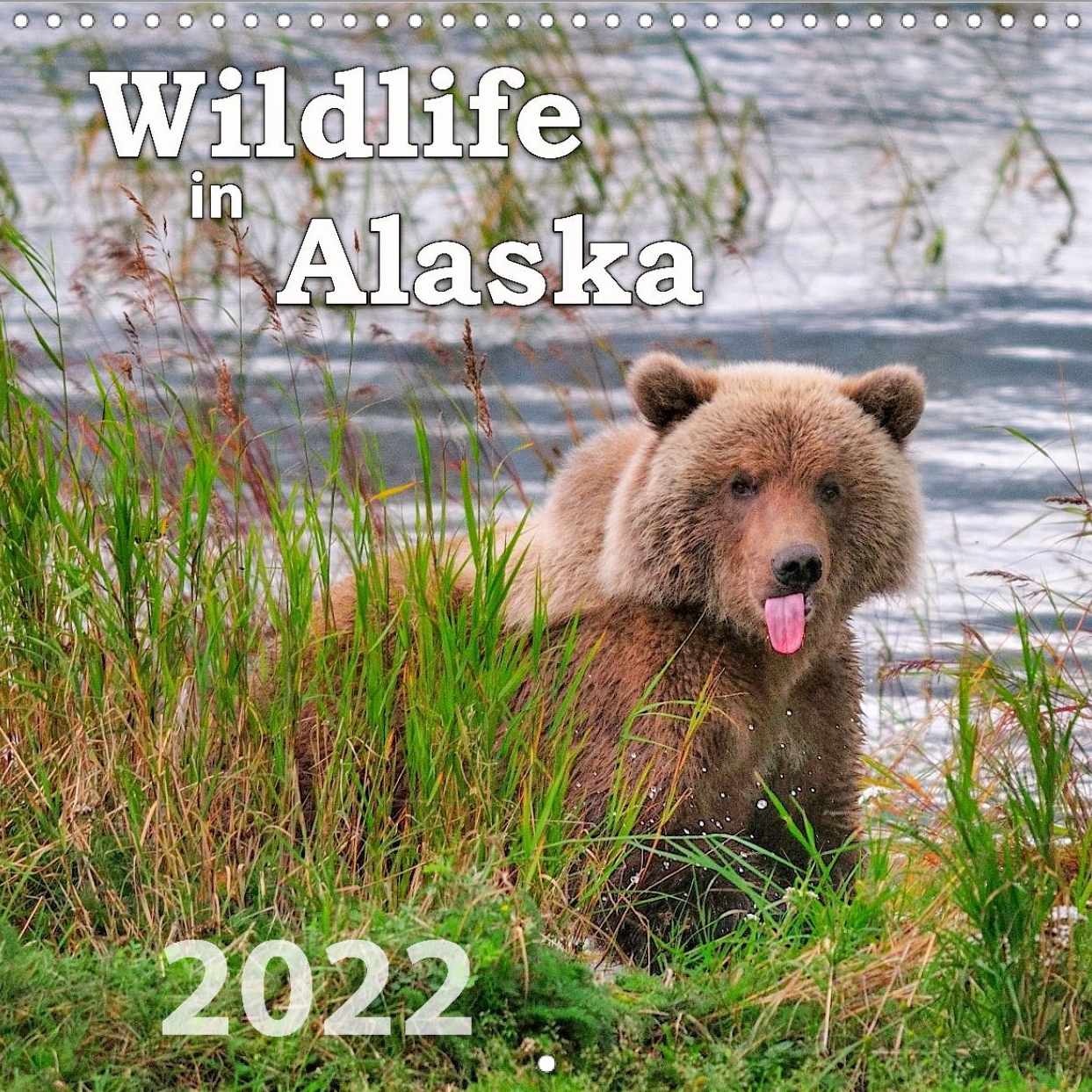 Tiere der Great Plains - Titelseite Kalender