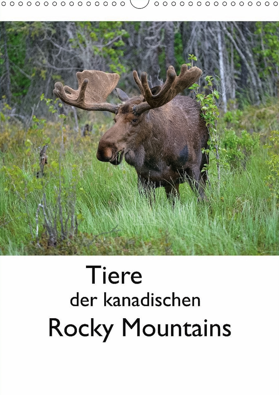 Tierwelt in den Canadian Rockies - Titelseite Kalender