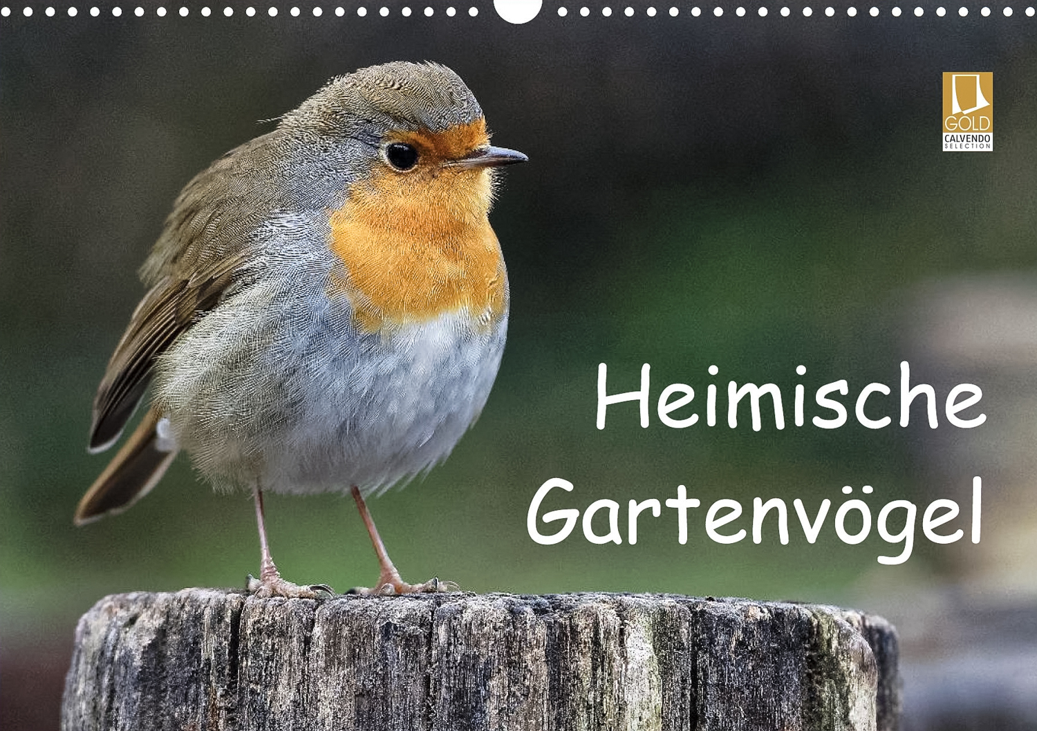 Heimische Gartenvögel - Titelseite Kalender