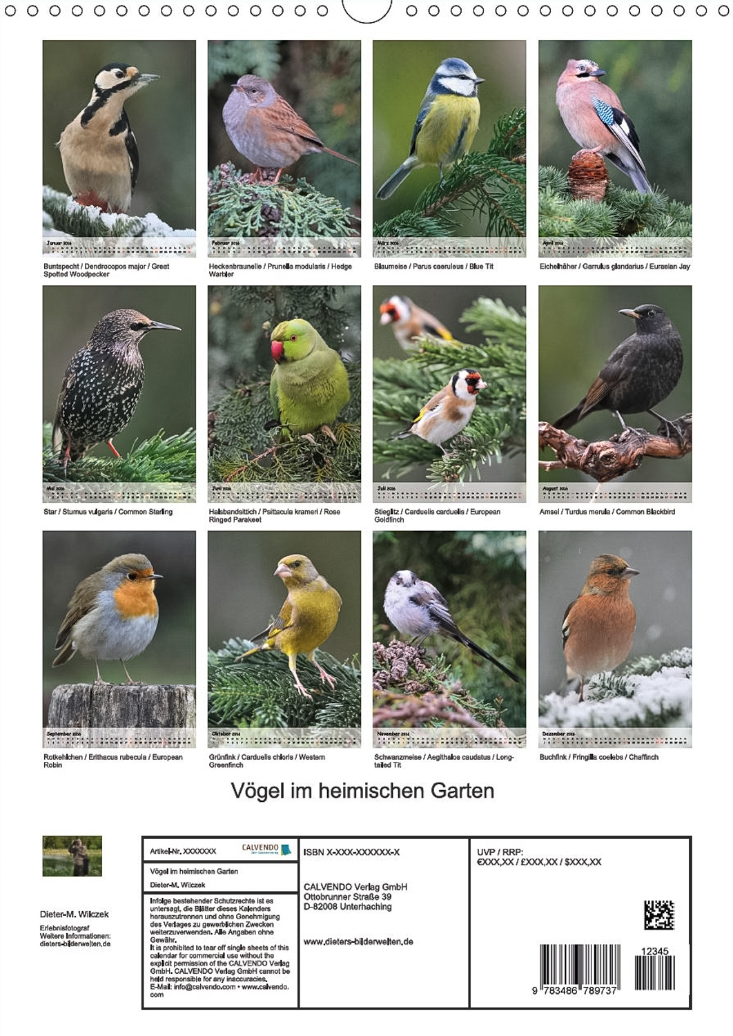 Heimische Gartenvögel - Rückseite Kalender