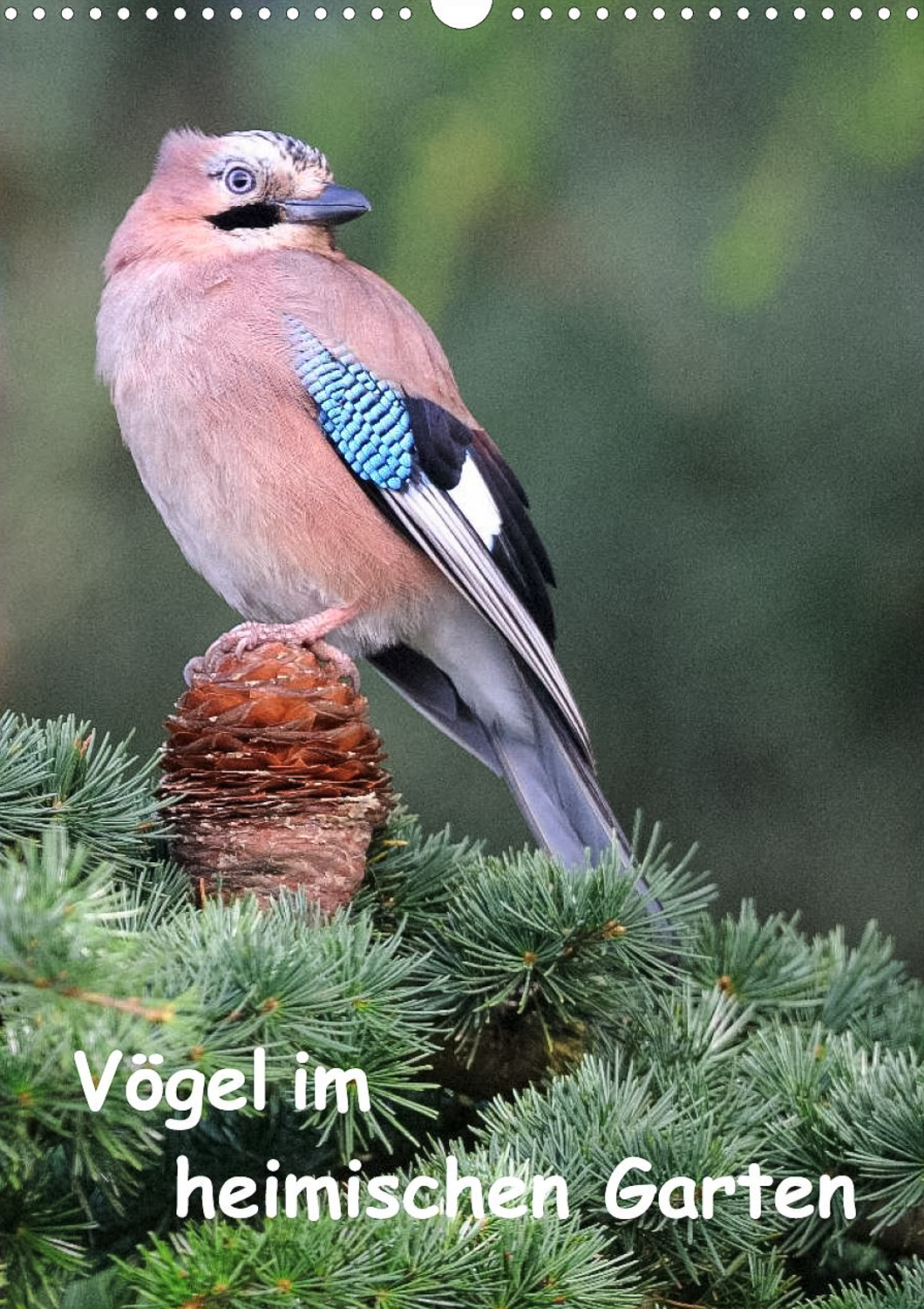 Heimische Gartenvögel - Titelseite Kalender