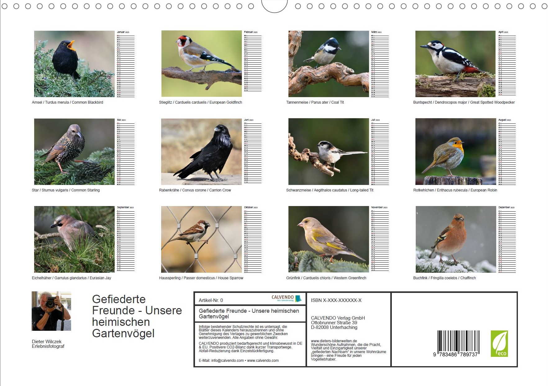 Heimische Gartenvögel - Rückseite Kalender