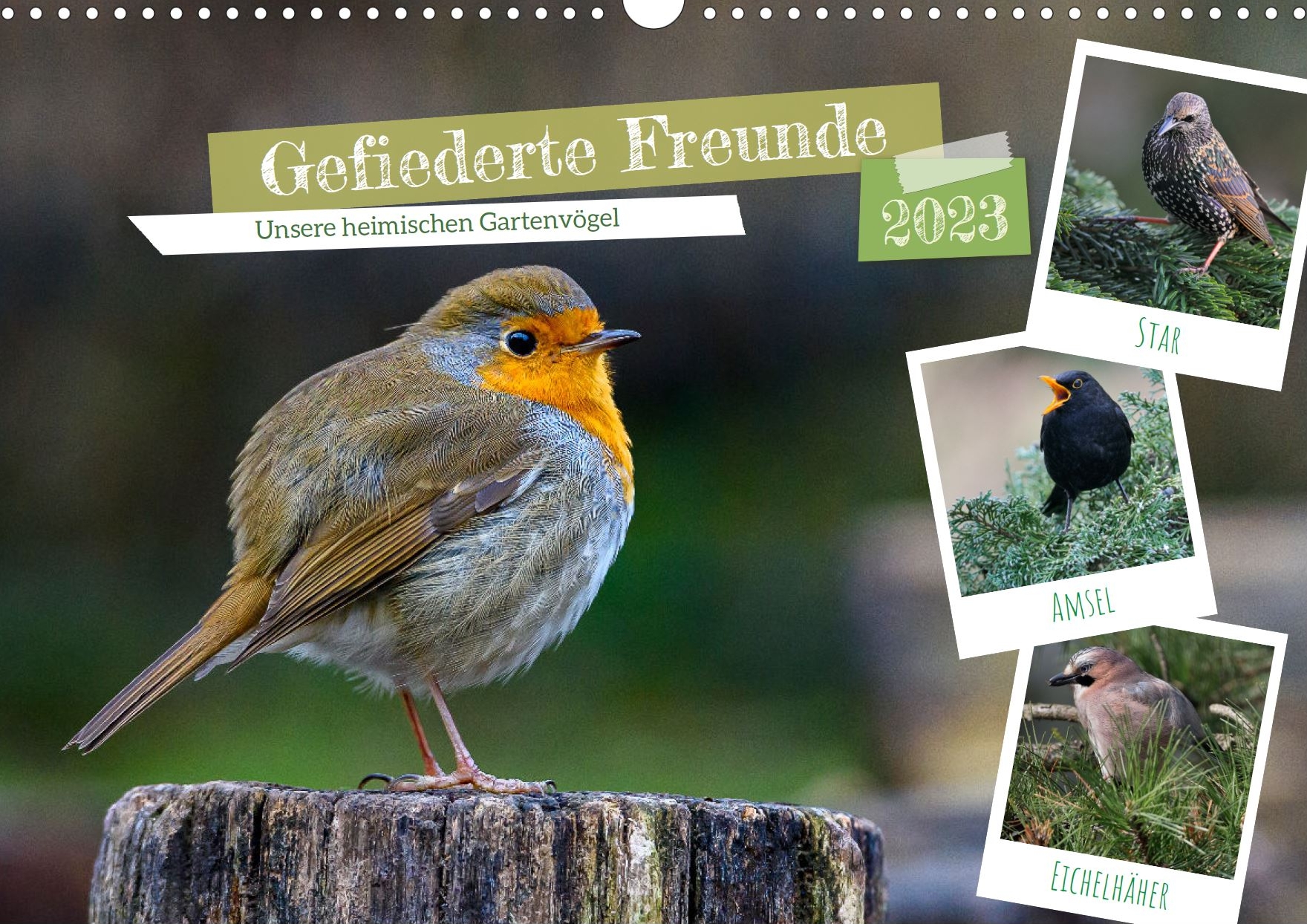 Heimische Gartenvögel - Titelseite Kalender