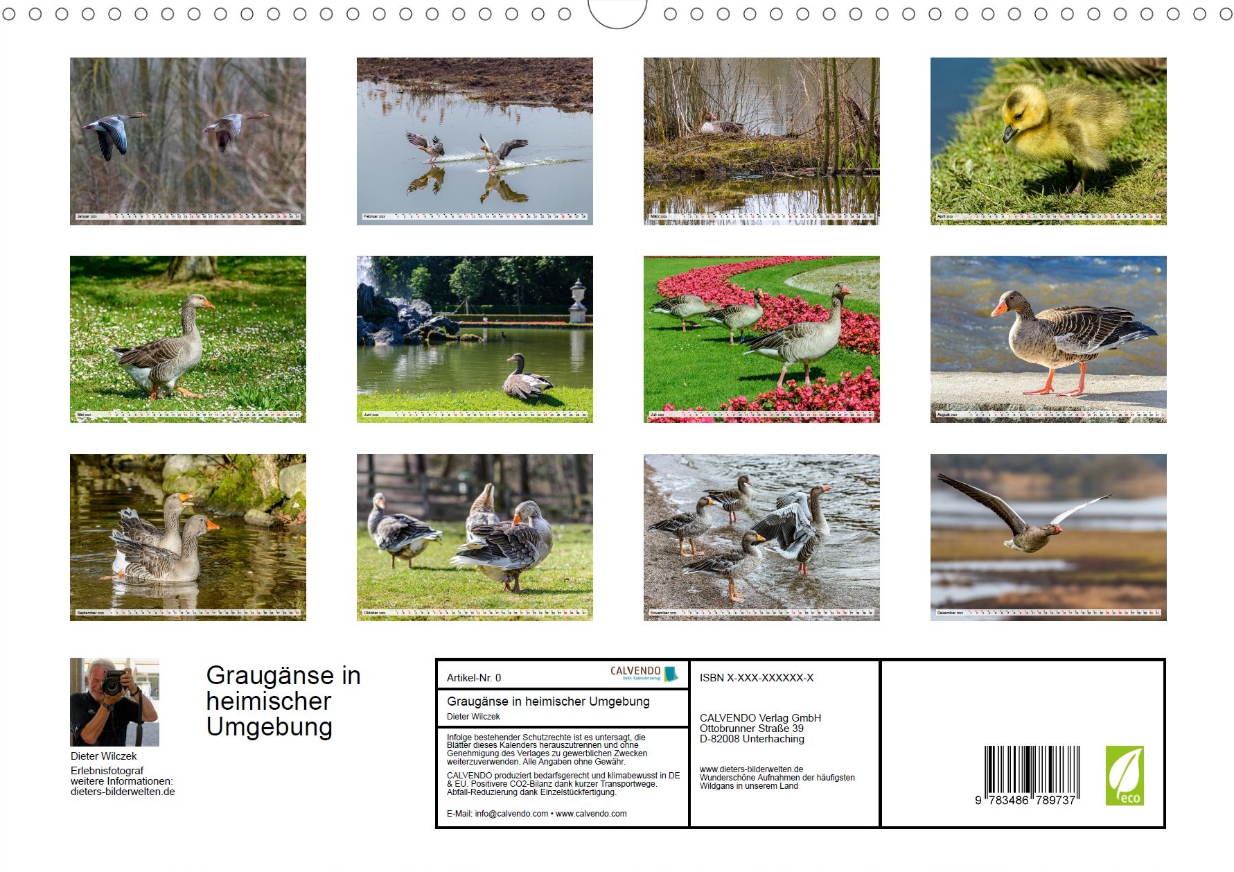 Heimische Gartenvögel - Rückseite Kalender